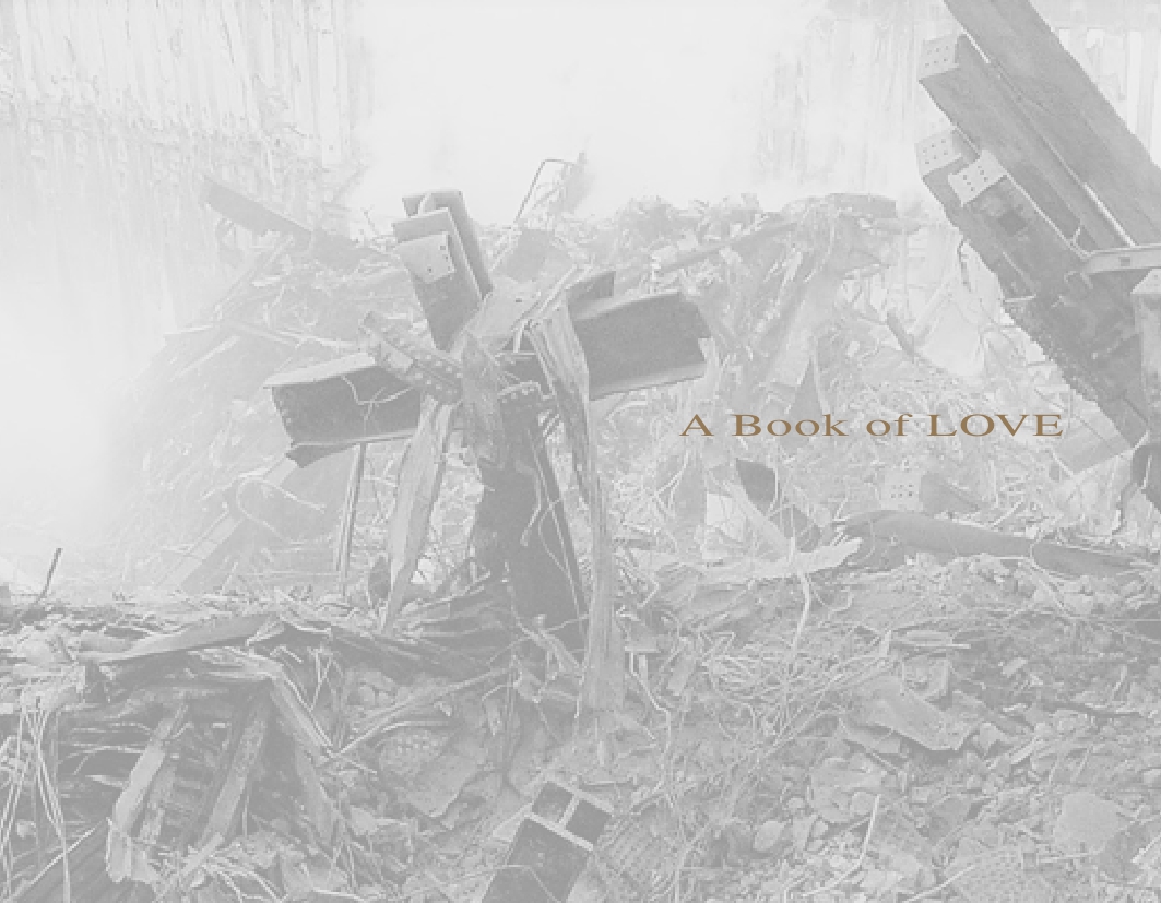 A poetry book made from the last messages of those who never made it home. A book of Love. 