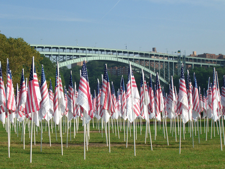 445796_1371.jpg