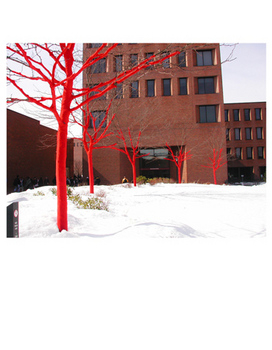 593091_1354.jpg