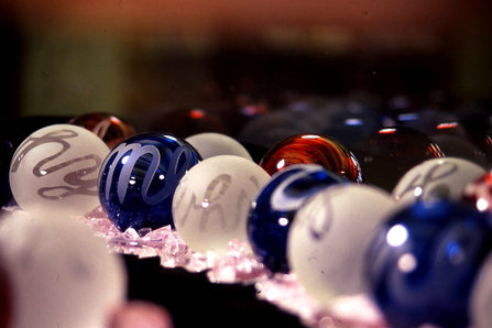 593111_121.jpg