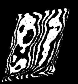 593306_274.jpg