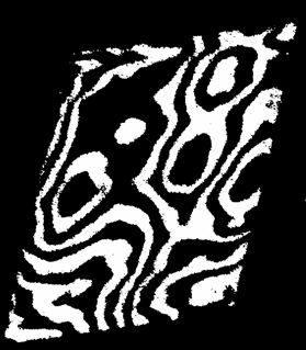 593306_276.jpg