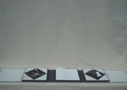 593341_414.jpg