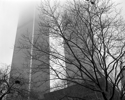 594331_1715.jpg
