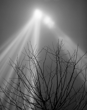 594331_1716.jpg
