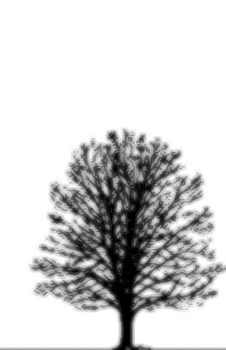 594606_1802.jpg
