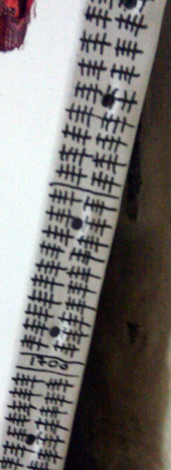 595741_2449.jpg