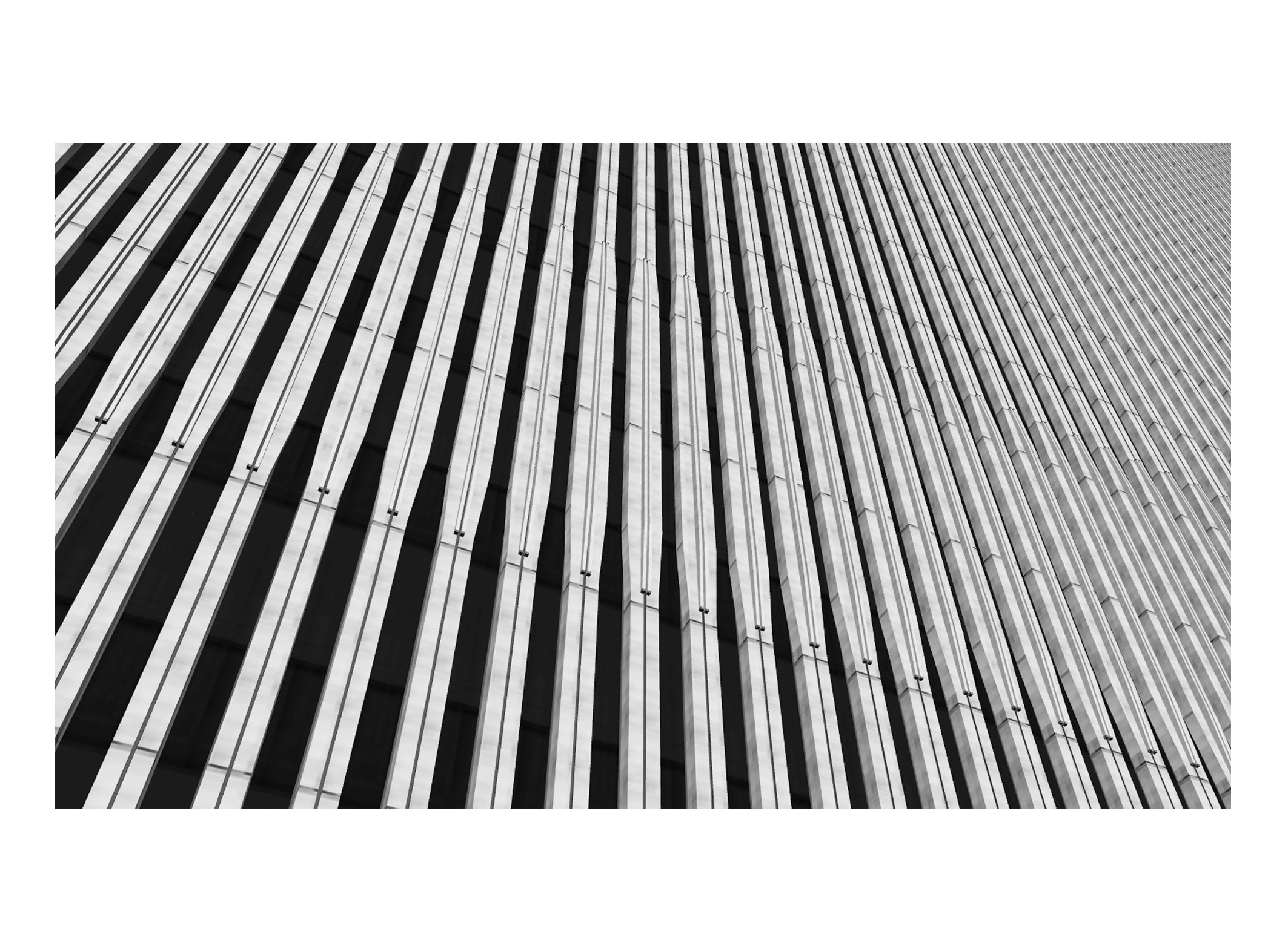 596451_2926.jpg