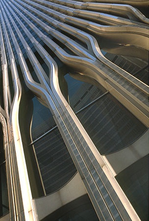 597441_3677.jpg