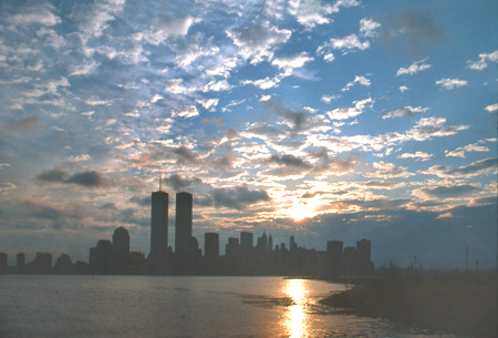 597441_3683.jpg