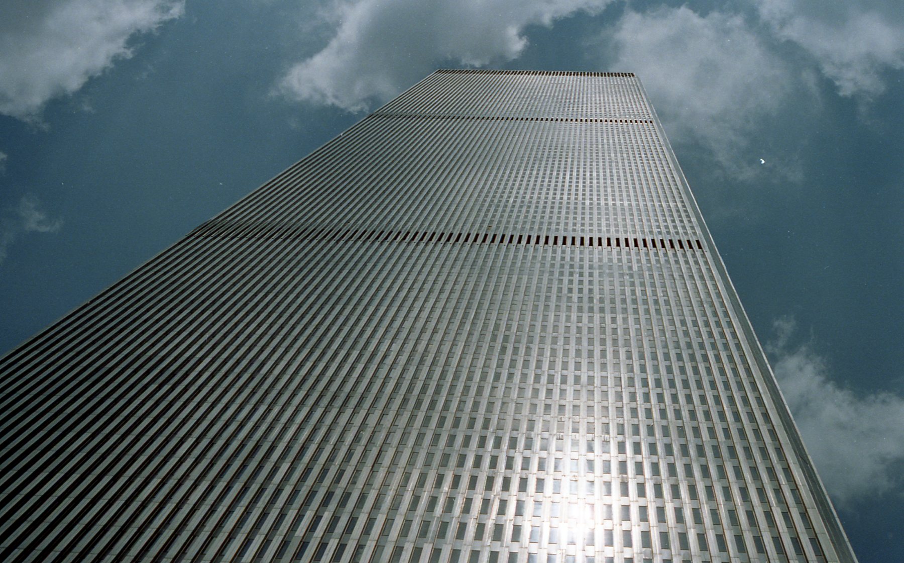 img247.jpg