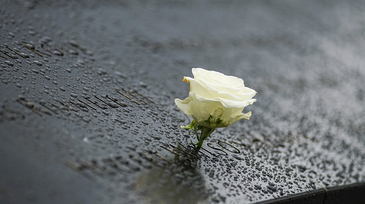 A single, white rose is placed at a name etched on a bronze parapet of the Memorial. The dark parapet glistens with raindrops.