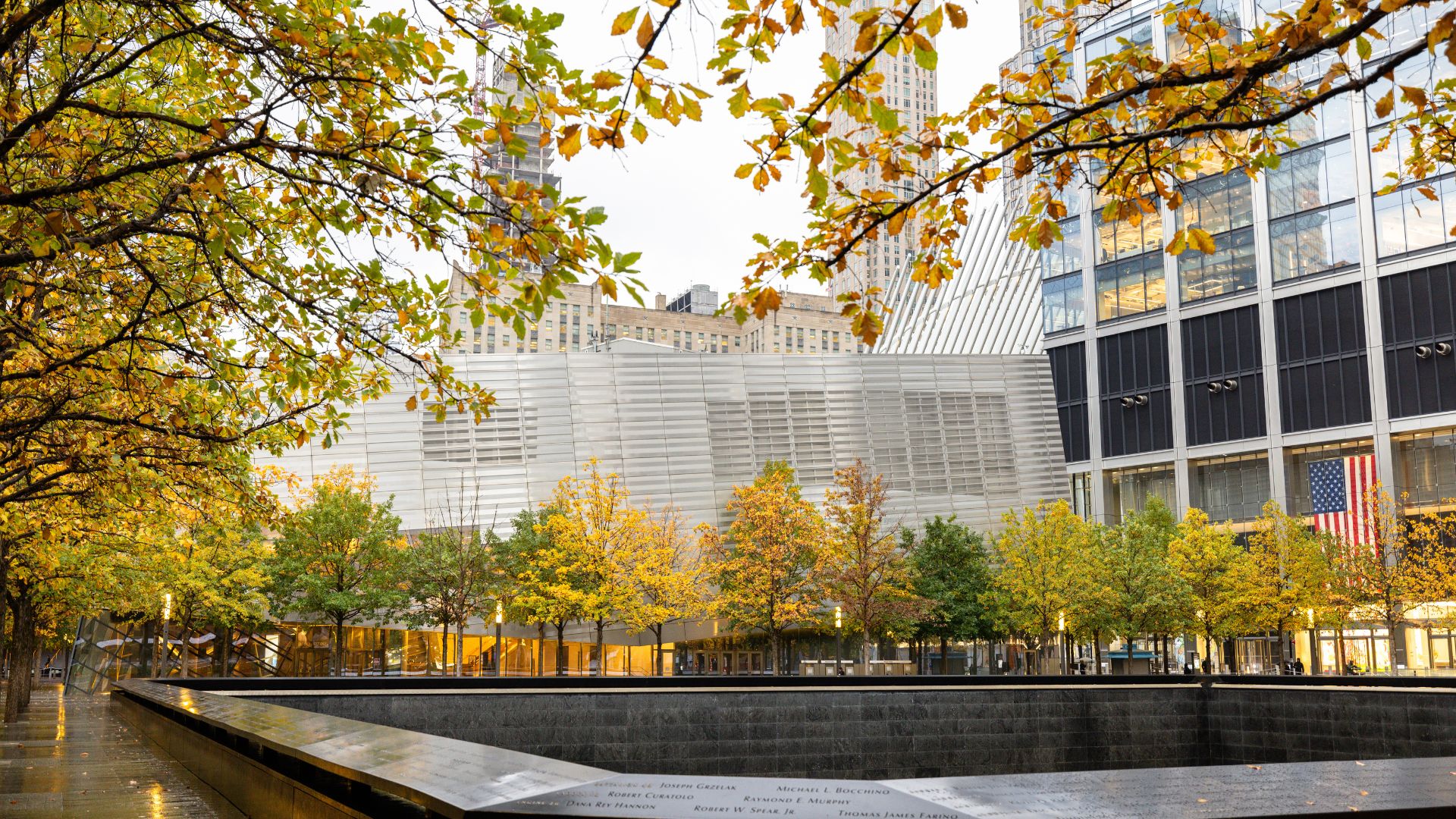 Trees of green and yellow line the frame of a Memorial reflecting pool during the fall, with the Museum exterior in the background.