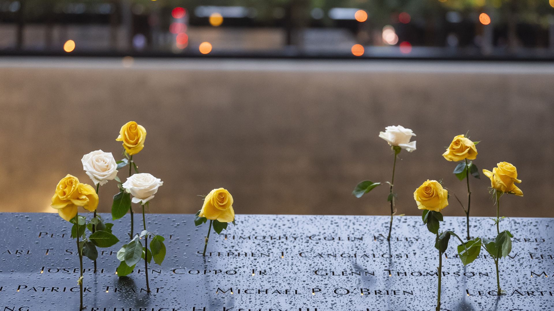 Yellow and white flowers on stems inserted into the names of victims on a 9/11 Memorial parapet.