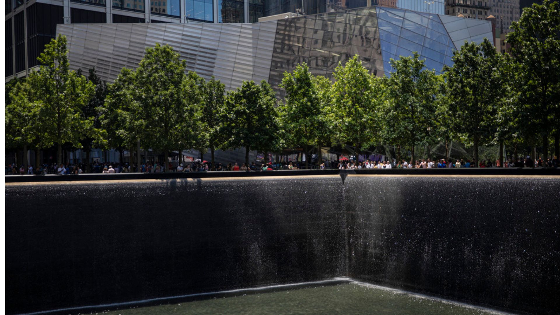 Leafy green trees lining one of the Memorial reflecting pools, with the Museum exterior in the background