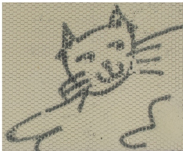 A close-up photograph of the smiling cat from the Magna Doodle screen, included as an "after" shot in comparison with the previous image. There is very little visible difference between the two cat drawings.