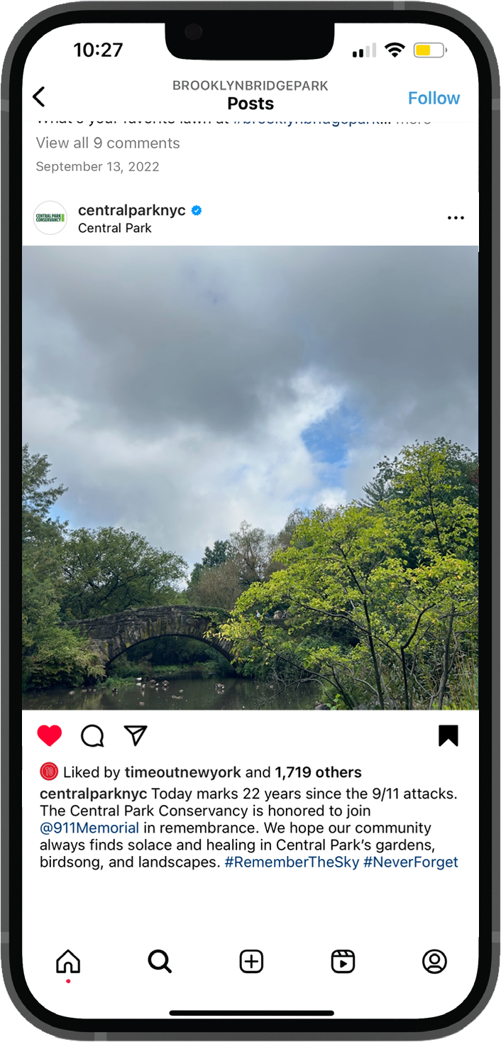 Tree tops line the bottom of the image, while the sky at the top is mostly cloudy with a small blue spot.