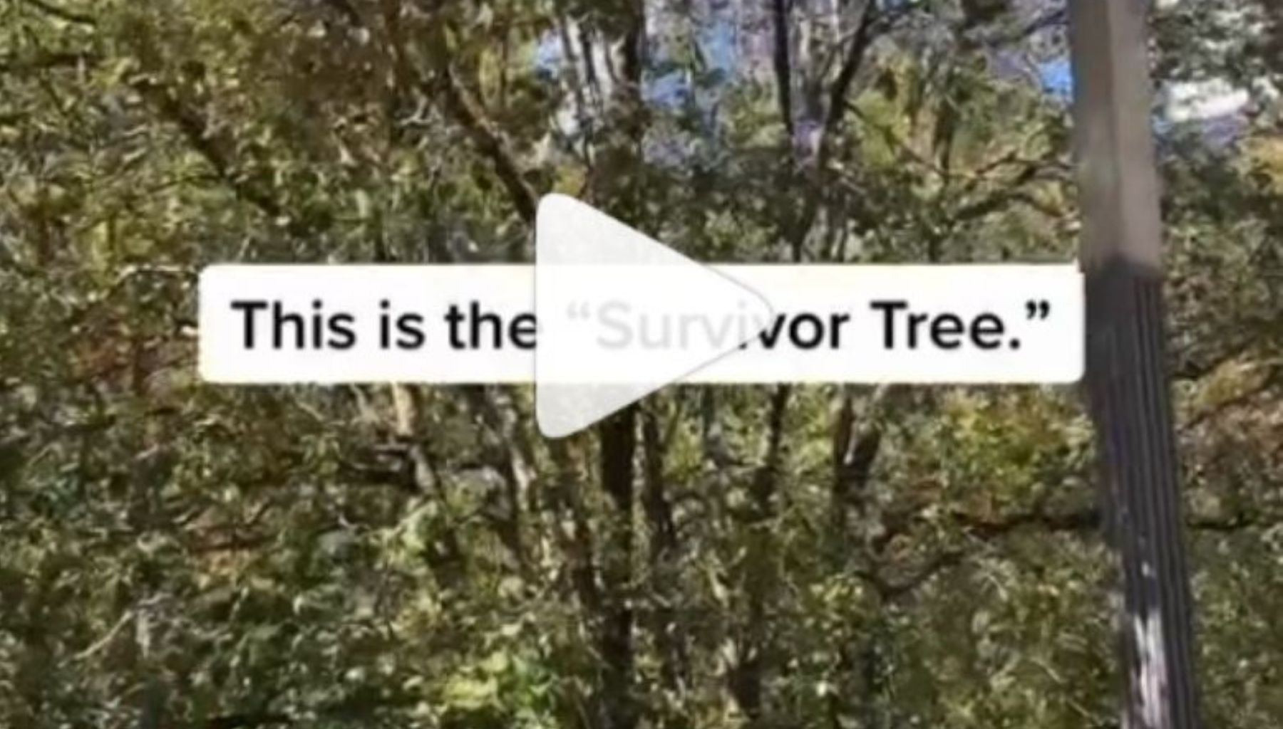 thumbnail of Instagram