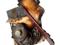 05_Mousa_ArtPrize_BurntBible.jpg