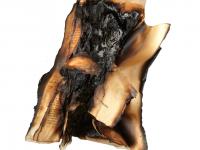 07_Mousa_ArtPrize_BurntBible.jpg