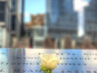 20190319_154259_tonemapped.jpg