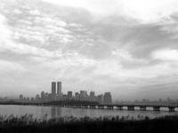 593181_540.jpg