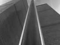 593281_369.jpg