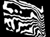 593306_272.jpg