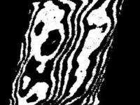 593306_274.jpg
