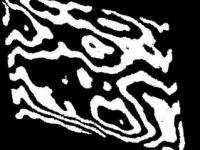 593306_275.jpg