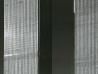 593396_1290.jpg