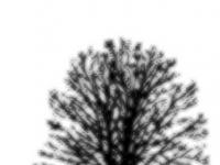 594606_1802.jpg