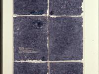 594976_2081.jpg