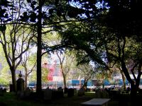 595766_2456.jpg