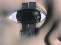 595906_2529.jpg