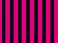 596036_3041.jpg