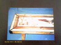 596161_3512.jpg