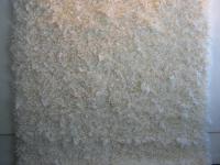 596251_2798.jpg