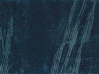 597281_3986.jpg