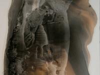 598191_4688.jpg