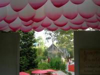 DSCN6355.JPG
