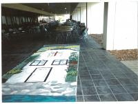 img-908233054.jpg