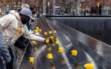On Veterans Day at the Memorial, volunteers from the veteran organization Team Red, White and Blue, help place more than 250 yellow roses in the names of those who served in the U.S. armed forces. 