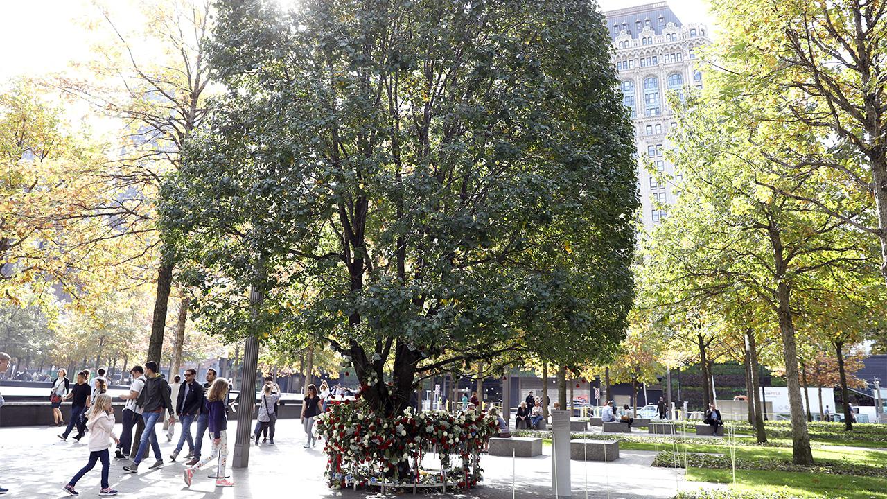 Sunlight shines down on the Survivor Tree. Red and white flowers ring the base of the tree. Visitors walk by to the left and several people sit at benches to the right.