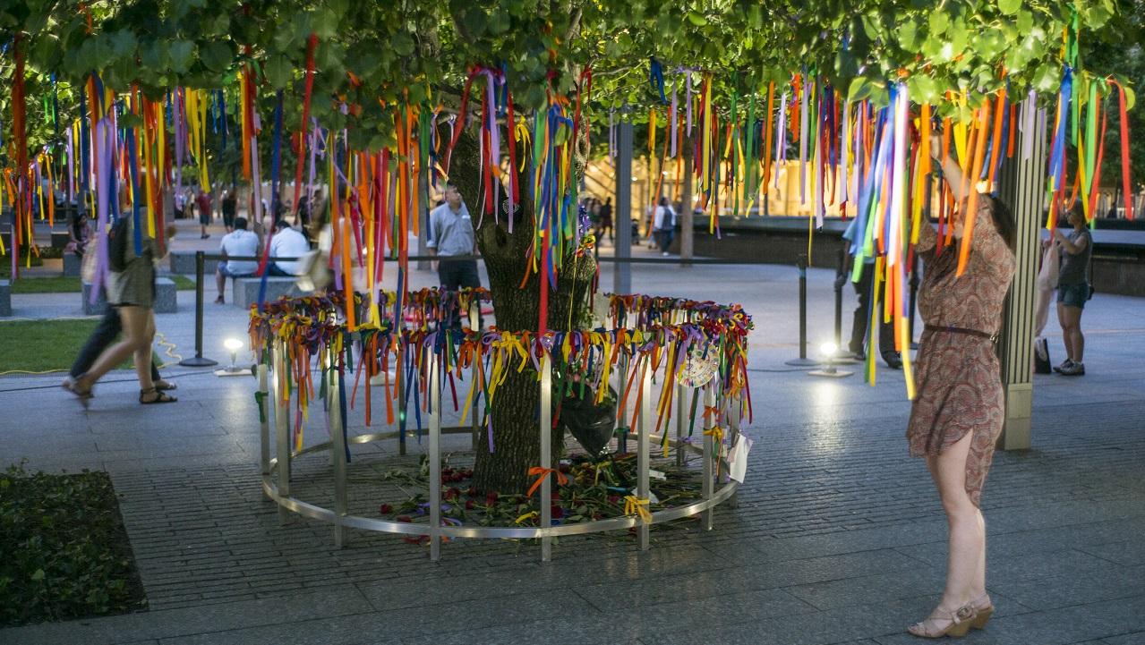 Dozens of colorful ribbons hang off the Survivor Tree in full bloom on the 9/11 Memorial. A woman on the right side of the image is seen reaching upward to affix another ribbon to the tree.
