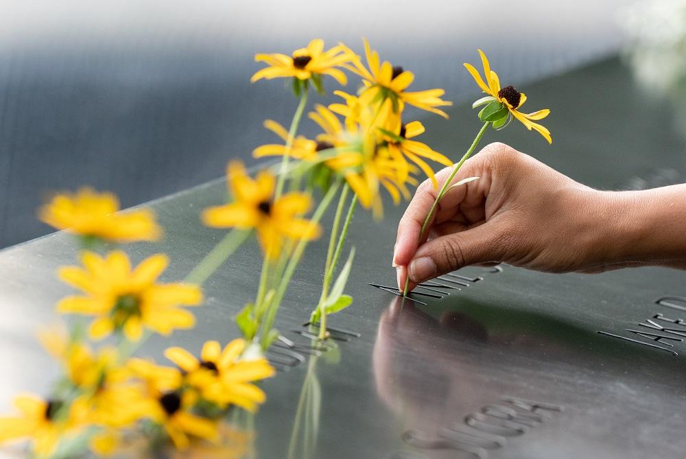 A dozen daisies adorn the names panels of the 9/11 Memorial. A person's hand is shown on the left side of the frame placing one more yellow daisy on to the Memorial.