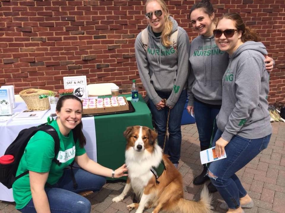 A brown-haired girl in a green t-shirt crouches next to a collie while three other young women in gray sweatshirts and jeans stand on the dog's right, smiling.